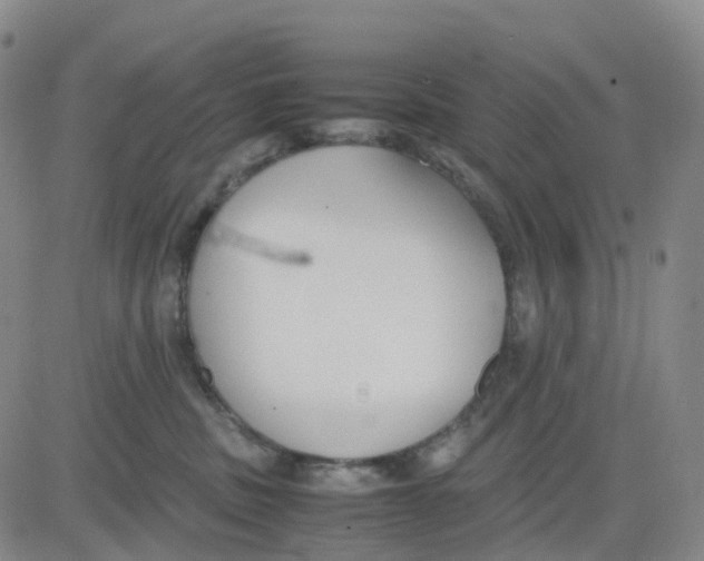 X0000083010379200702231818