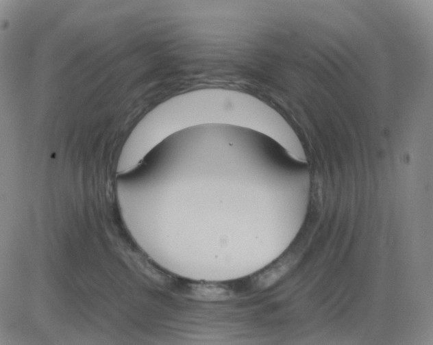 X0000083010380200702231818