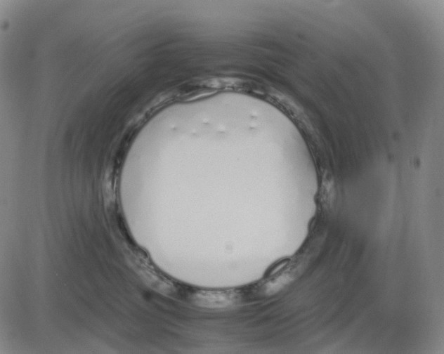 X0000083010381200702231818