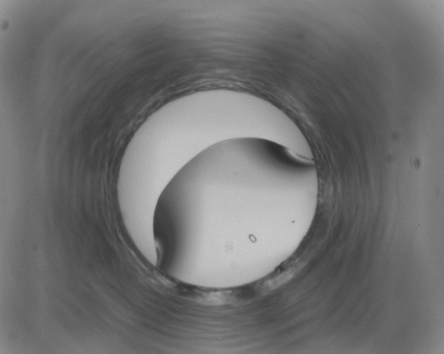 X0000083010382200702231818