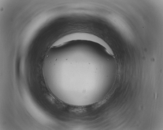 X0000083010383200702231818