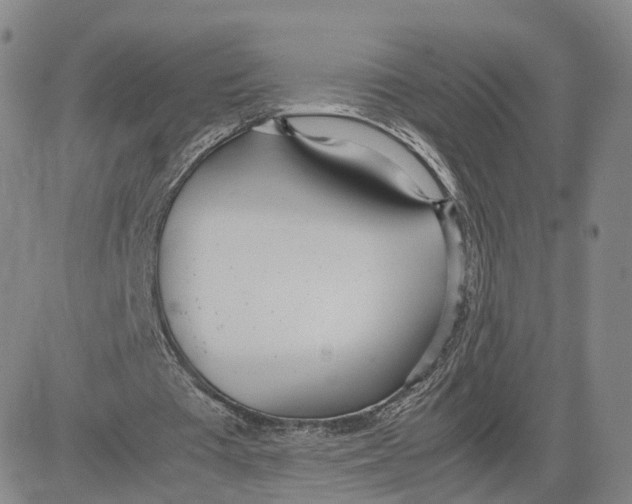 X0000083010385200702231818