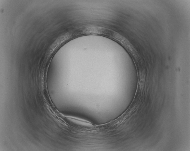 X0000083010386200702231818