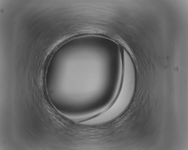 X0000083010387200702231818