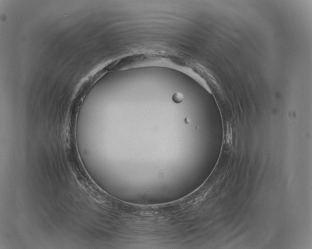 X0000083010388200702231818