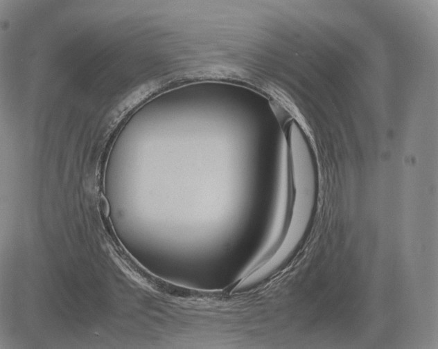 X0000083010389200702231818