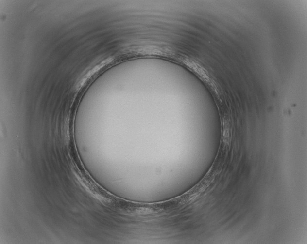 X0000083010390200702231818