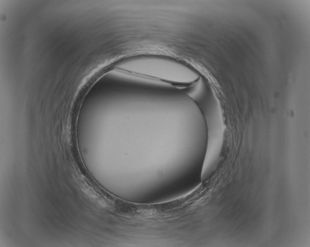 X0000083010391200702231818