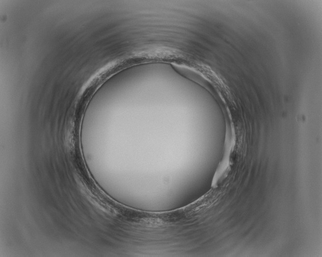 X0000083010392200702231818