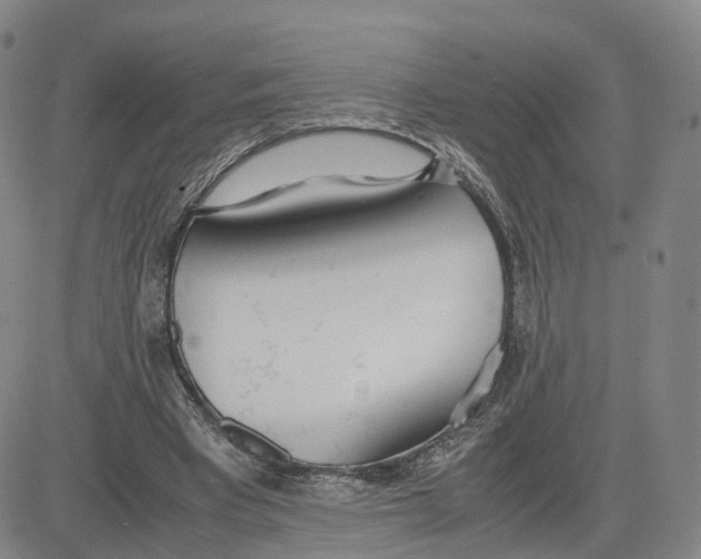 X0000083010393200702231818