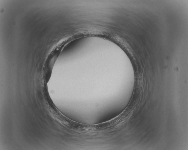 X0000083010395200702231818