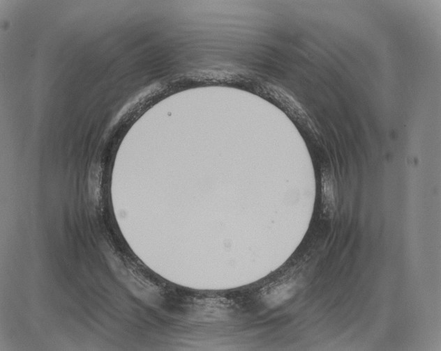 X0000083010396200702231817