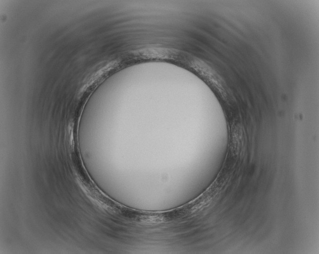 X0000083010398200702231817