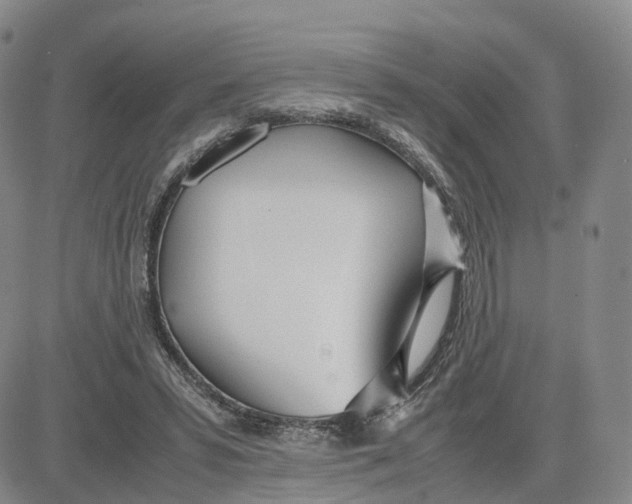 X0000083010399200702231817