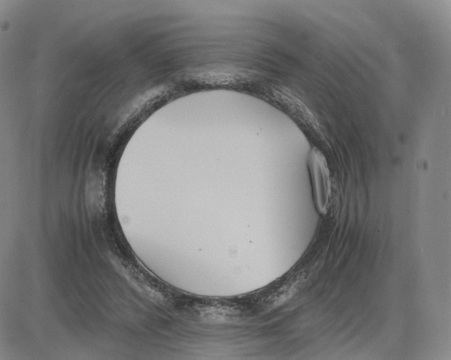 X0000083010400200702231817