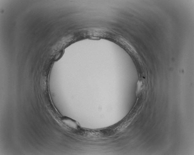 X0000083010401200702231817