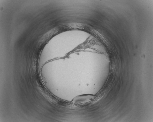 X0000083010402200702231817