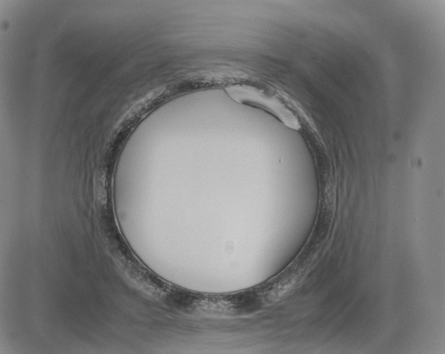 X0000083010403200702231817