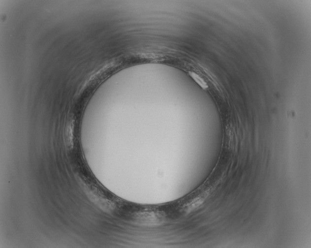 X0000083010404200702231817