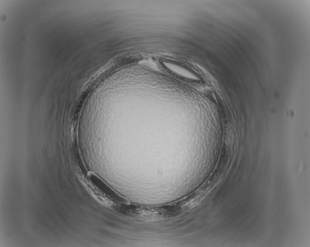 X0000083010405200702231817