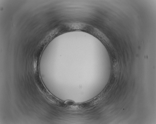 X0000083010406200702231817