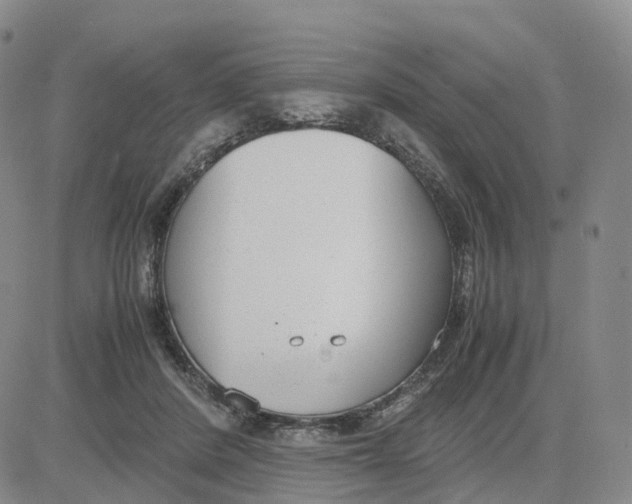 X0000083010408200702231817