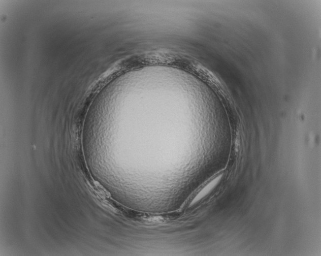 X0000083010409200702231817