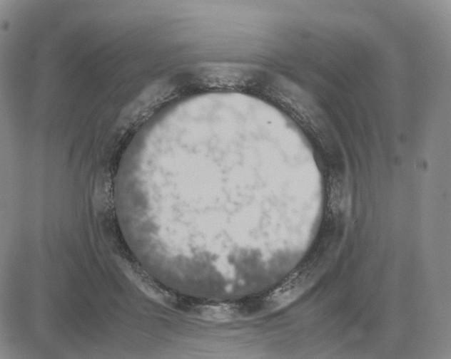 X0000083010411200702231817