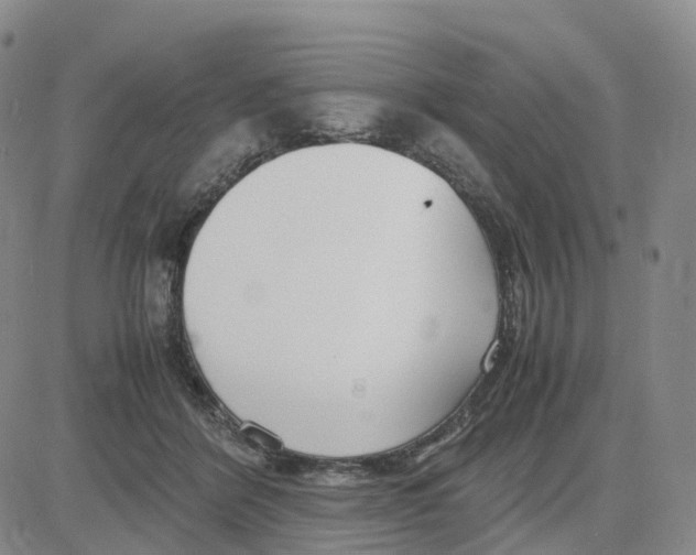 X0000083010412200702231817