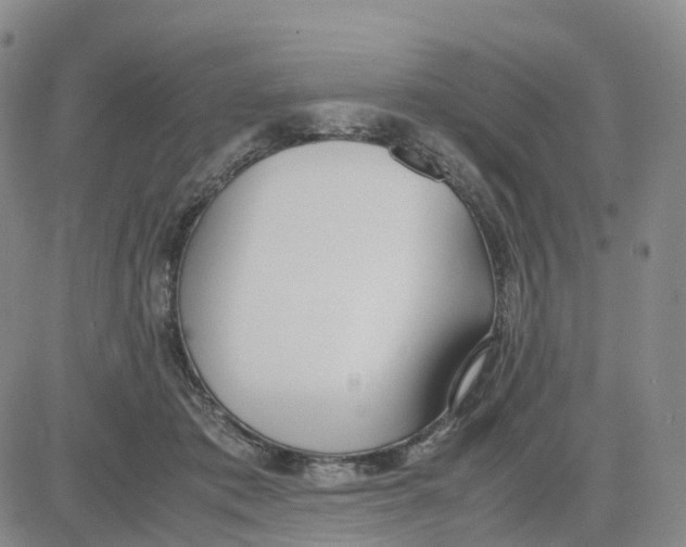 X0000083010413200702231817