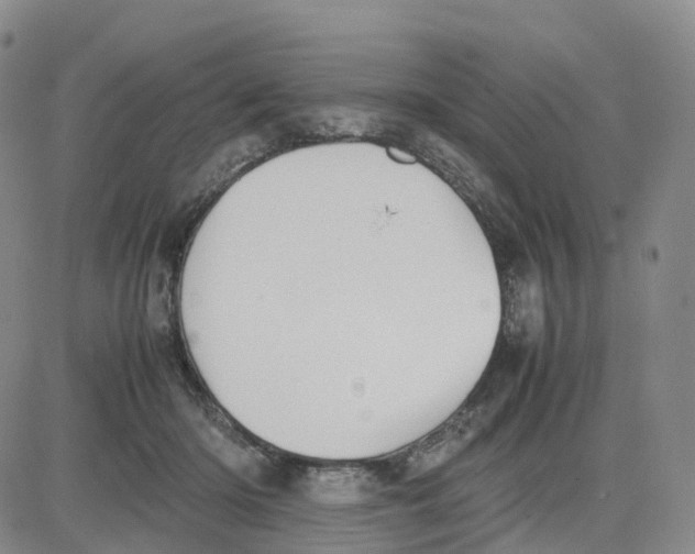 X0000083010414200702231817