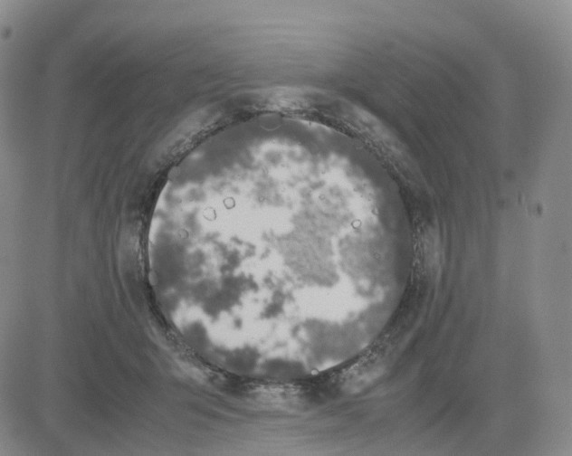 X0000083010415200702231817