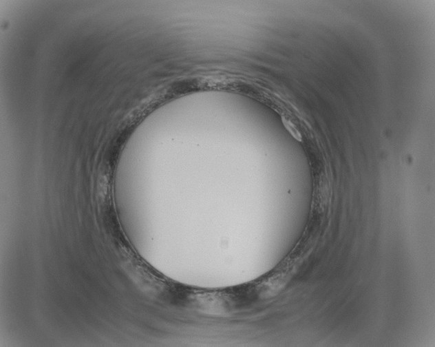 X0000083010417200702231817