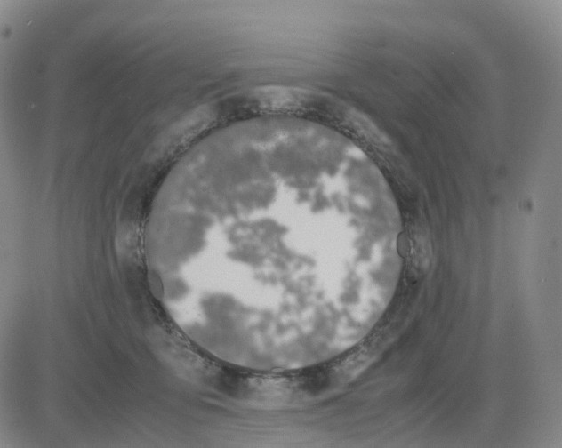 X0000083010419200702231817