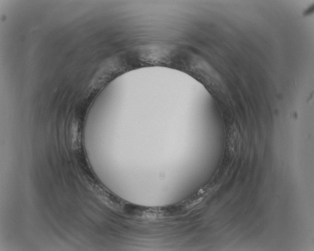 X0000083010420200702231817