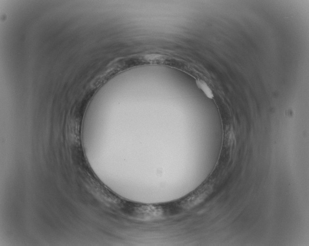 X0000083010421200702231817