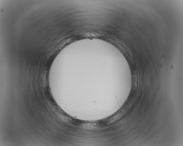 X0000083010422200702231817