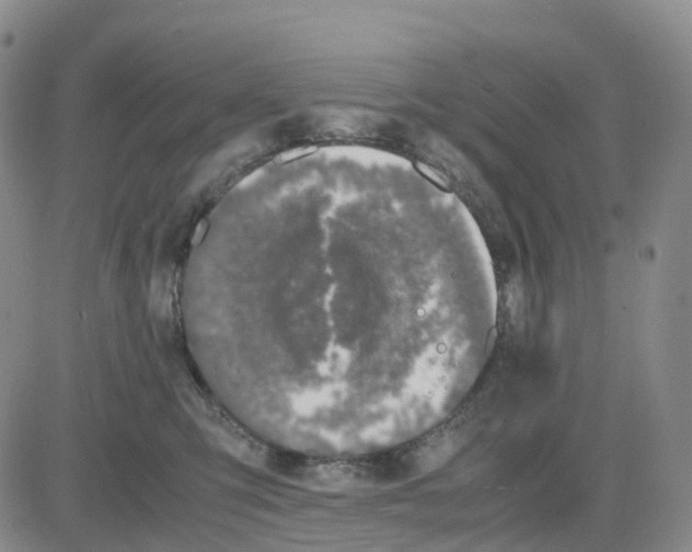 X0000083010423200702231817