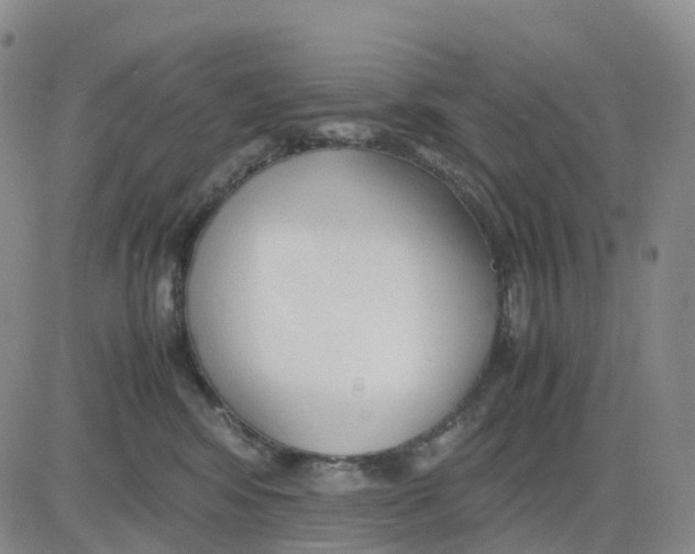 X0000083010424200702231817