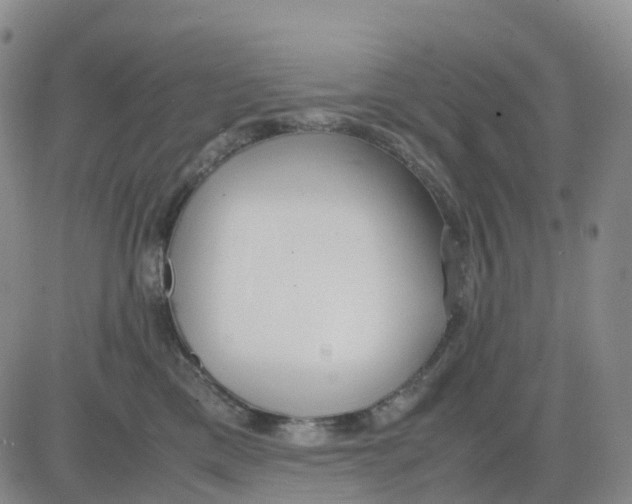 X0000083010425200702231817