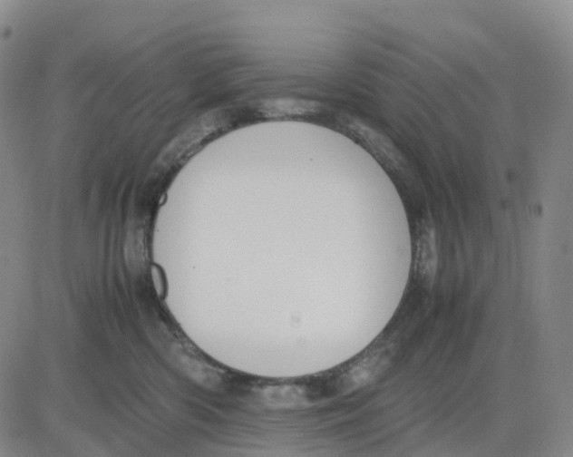 X0000083010426200702231817