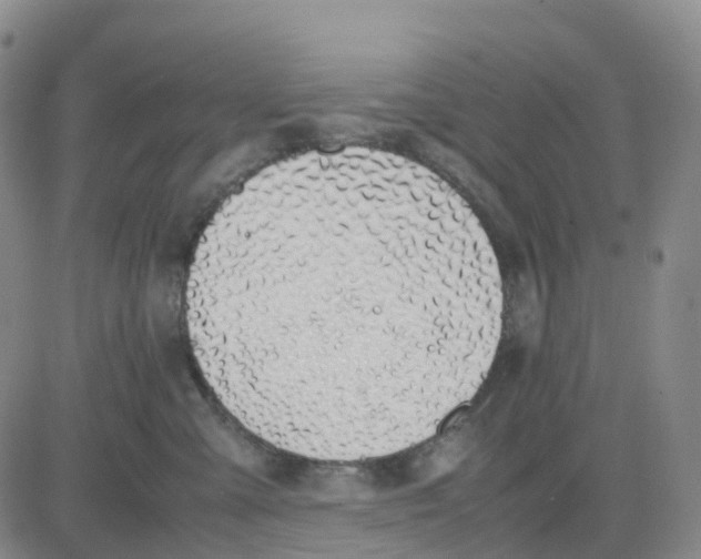 X0000083010427200702231817