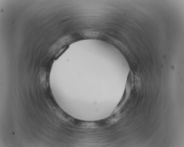 X0000083010428200702231817