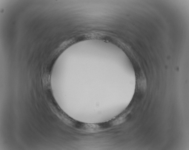 X0000083010429200702231817