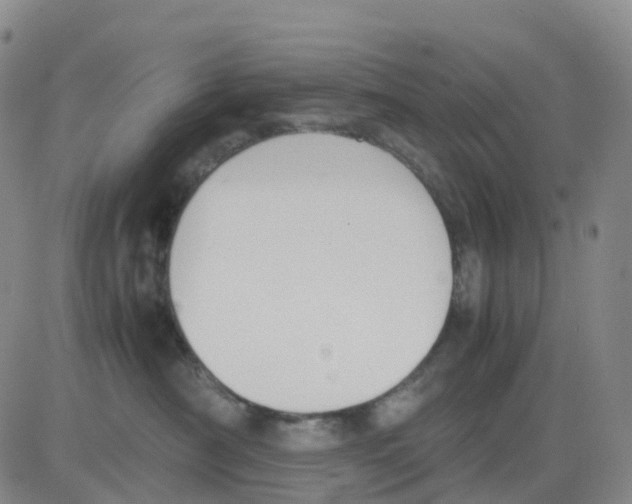 X0000083010430200702231817