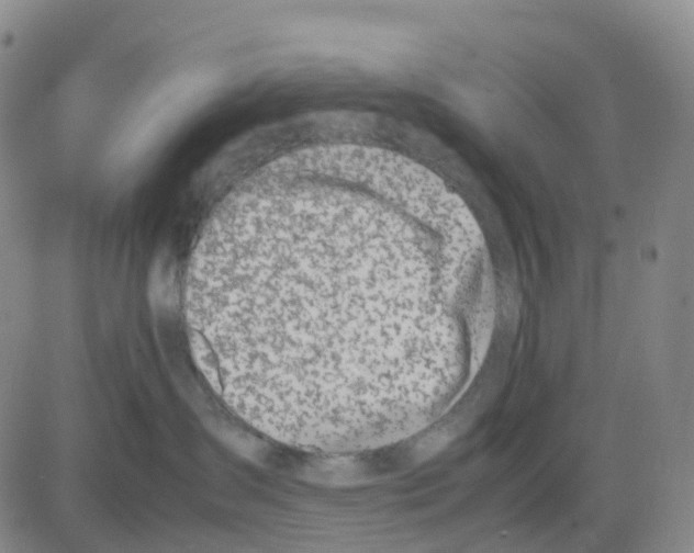 X0000083010431200702231817