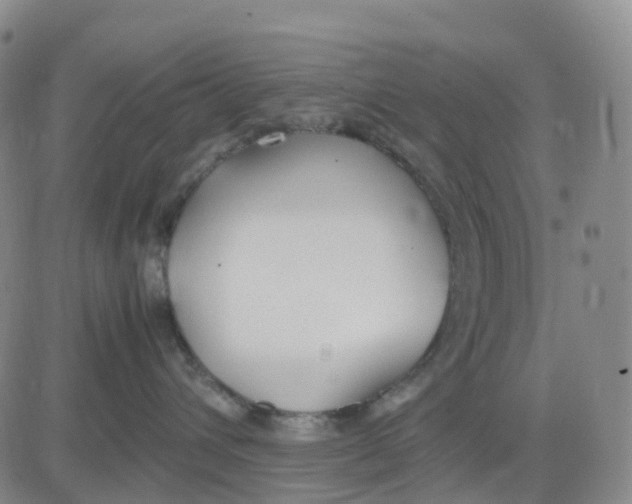 X0000083010432200702231817