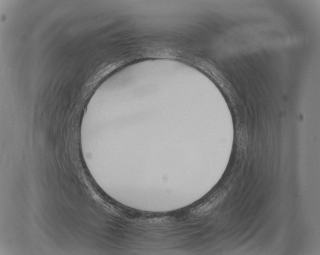 X0000083010433200702231816