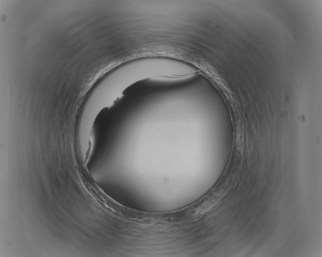 X0000083010434200702231816