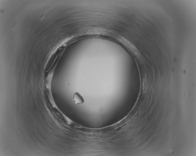 X0000083010436200702231816